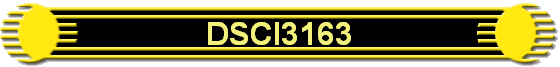 DSCI3163