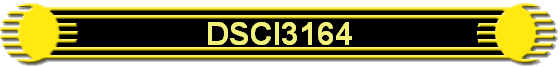 DSCI3164