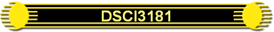 DSCI3181