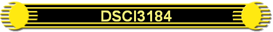DSCI3184