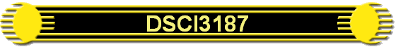 DSCI3187