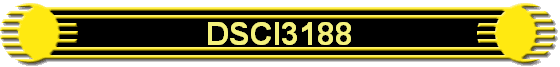DSCI3188
