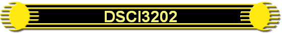 DSCI3202