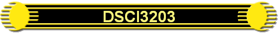 DSCI3203