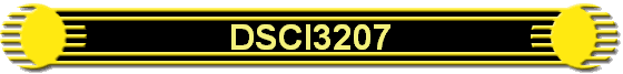 DSCI3207