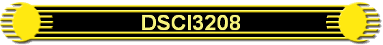 DSCI3208