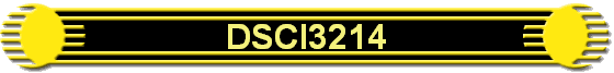 DSCI3214