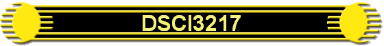 DSCI3217