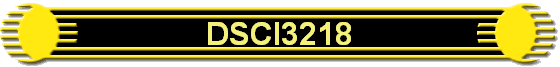 DSCI3218