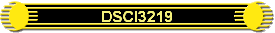 DSCI3219
