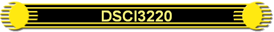 DSCI3220