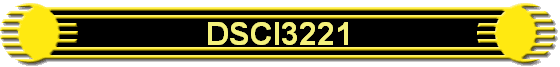 DSCI3221