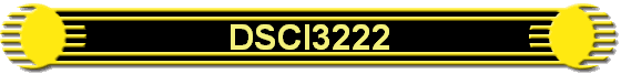 DSCI3222