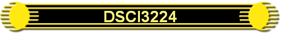 DSCI3224