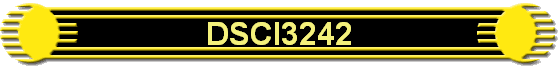 DSCI3242