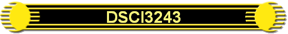 DSCI3243