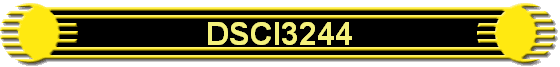 DSCI3244