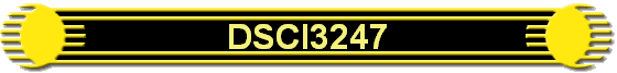DSCI3247