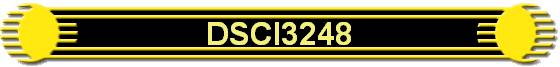 DSCI3248