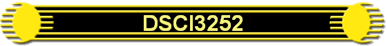 DSCI3252