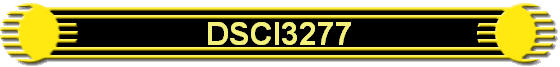 DSCI3277