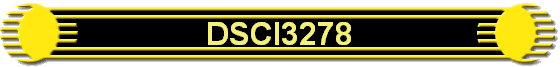 DSCI3278