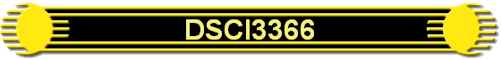 DSCI3366