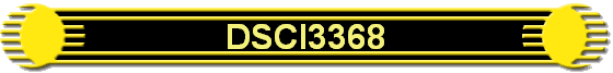 DSCI3368