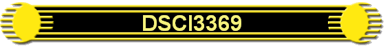 DSCI3369