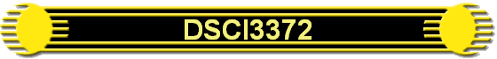 DSCI3372