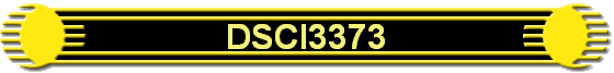 DSCI3373