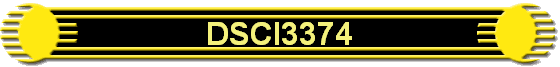 DSCI3374