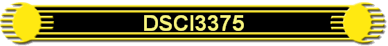 DSCI3375