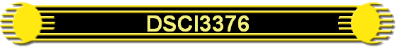 DSCI3376