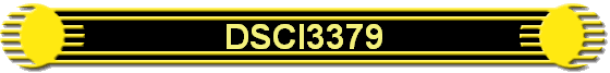 DSCI3379