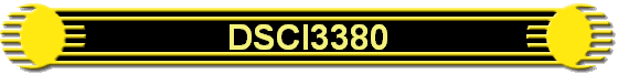 DSCI3380
