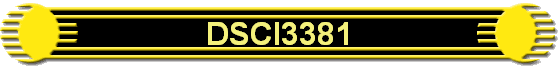 DSCI3381