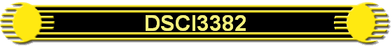 DSCI3382