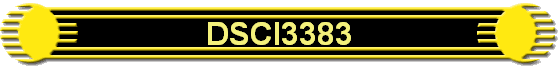 DSCI3383