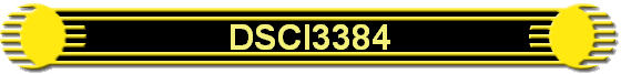 DSCI3384