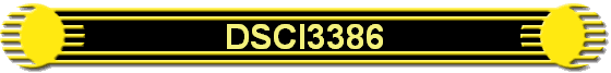 DSCI3386