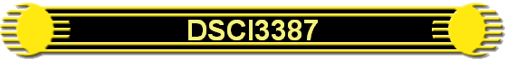 DSCI3387