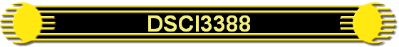 DSCI3388
