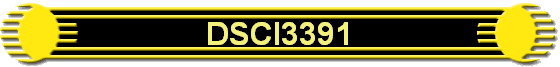 DSCI3391