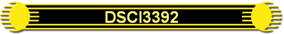 DSCI3392