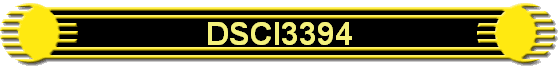 DSCI3394