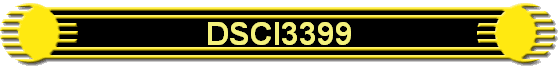 DSCI3399