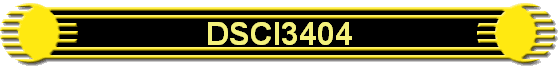 DSCI3404