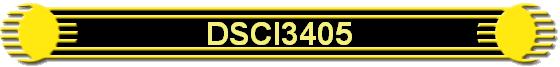 DSCI3405