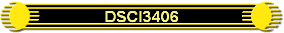 DSCI3406